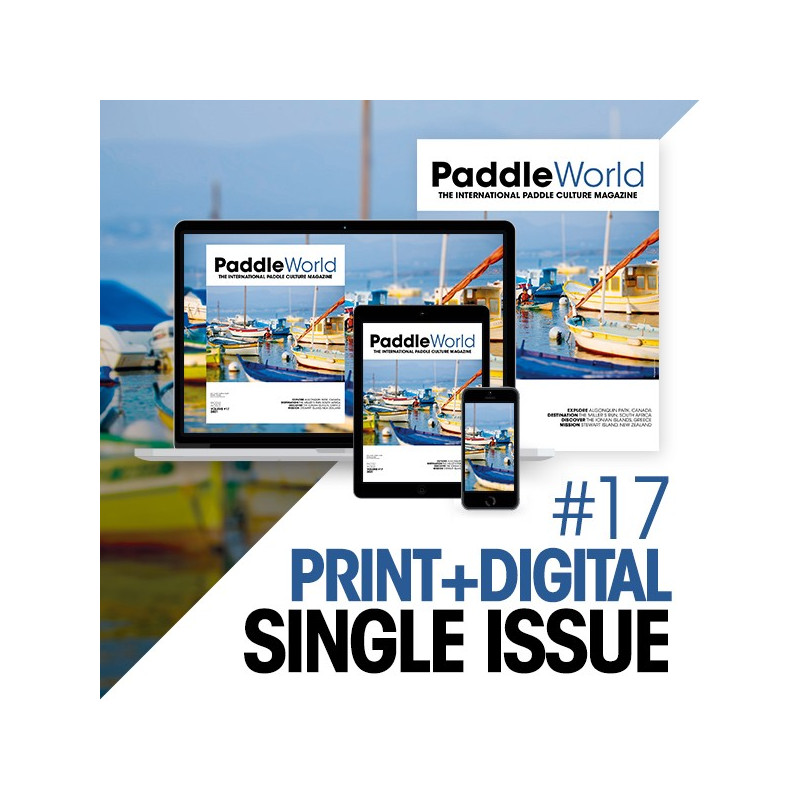 Print + Digital Paddle World Numero 17